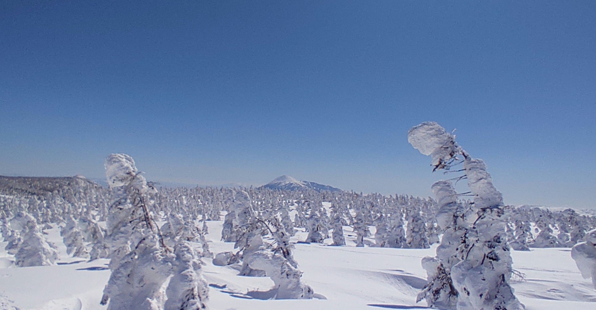 ⛷️ 아키타 하치만타이 스키장 (아키타 하치만타이 스키-조) 이미지 7